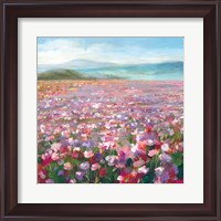 Framed Headland Wildflowers