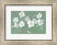 Framed Blossoms on Sage