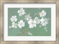 Framed Blossoms on Sage