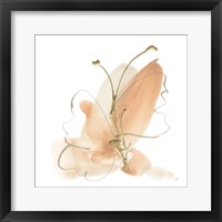 Framed 'Butterfly Flower II' border=
