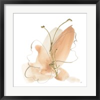 Framed Butterfly Flower II