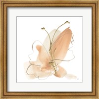 Framed Butterfly Flower II