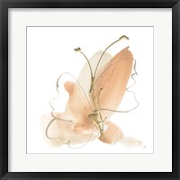 Butterfly Flower II Framed Print