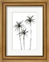 Framed Shadow Palms IV