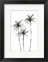 Framed Shadow Palms IV