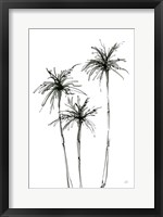 Framed Shadow Palms IV