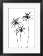 Shadow Palms IV Framed Print