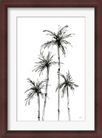 Framed Shadow Palms III