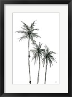 Framed Shadow Palms II