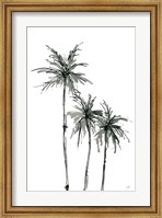 Framed Shadow Palms II