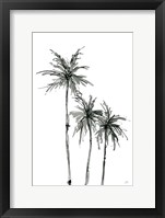 Shadow Palms II Framed Print
