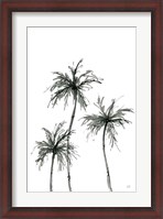 Framed Shadow Palms I