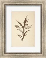 Framed Vintage Line Lily of the Valley I