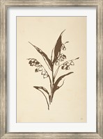 Framed Vintage Line Lily of the Valley I