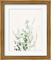 Framed Grasses II on Linen