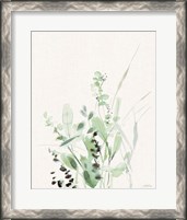 Framed Grasses II on Linen