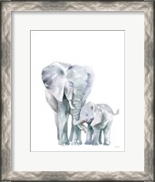 Framed Mama Elephant on White