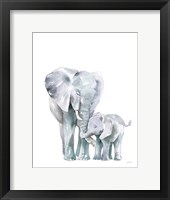 Framed Mama Elephant on White