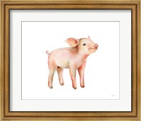 Framed Sweet Piggy on White