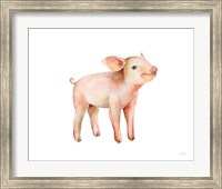 Framed Sweet Piggy on White