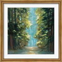 Framed Sunlit Forest