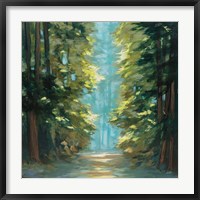 Framed Sunlit Forest