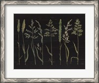Framed Herbal Botanical VII Black Wood No Words