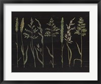 Framed Herbal Botanical VII Black Wood No Words