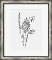 Framed 'Among Wildflowers I' border=