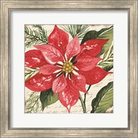 Framed Red Poinsettia Botanical
