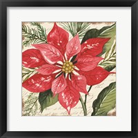 Red Poinsettia Botanical Framed Print