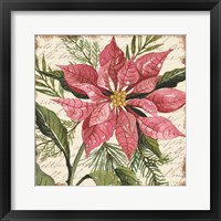 Mauve Poinsettia Botanical Framed Print