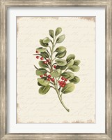 Framed Berries Christmas Botanical