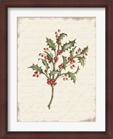 Framed Holly Christmas Botanical