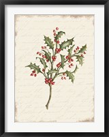 Framed Holly Christmas Botanical