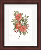 Framed Poinsettia Christmas Botanical