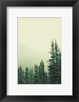 Framed Rocky Mountain 6