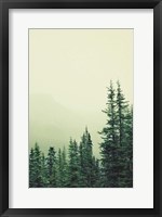 Framed Rocky Mountain 6