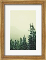 Framed Rocky Mountain 6