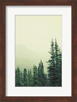 Framed Rocky Mountain 6