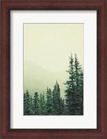 Framed Rocky Mountain 6