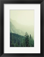 Framed Rocky Mountain 7