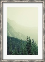 Framed Rocky Mountain 7