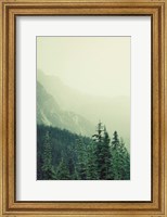 Framed Rocky Mountain 7