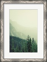 Framed Rocky Mountain 7