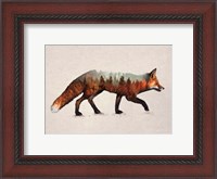 Framed Red Fox