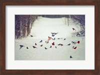 Framed Feathered Friends Birds in Snow