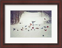 Framed Feathered Friends Birds in Snow