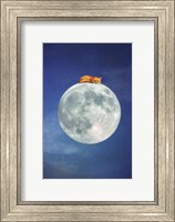 Framed Fox Sleeping on Moon
