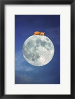 Framed Fox Sleeping on Moon